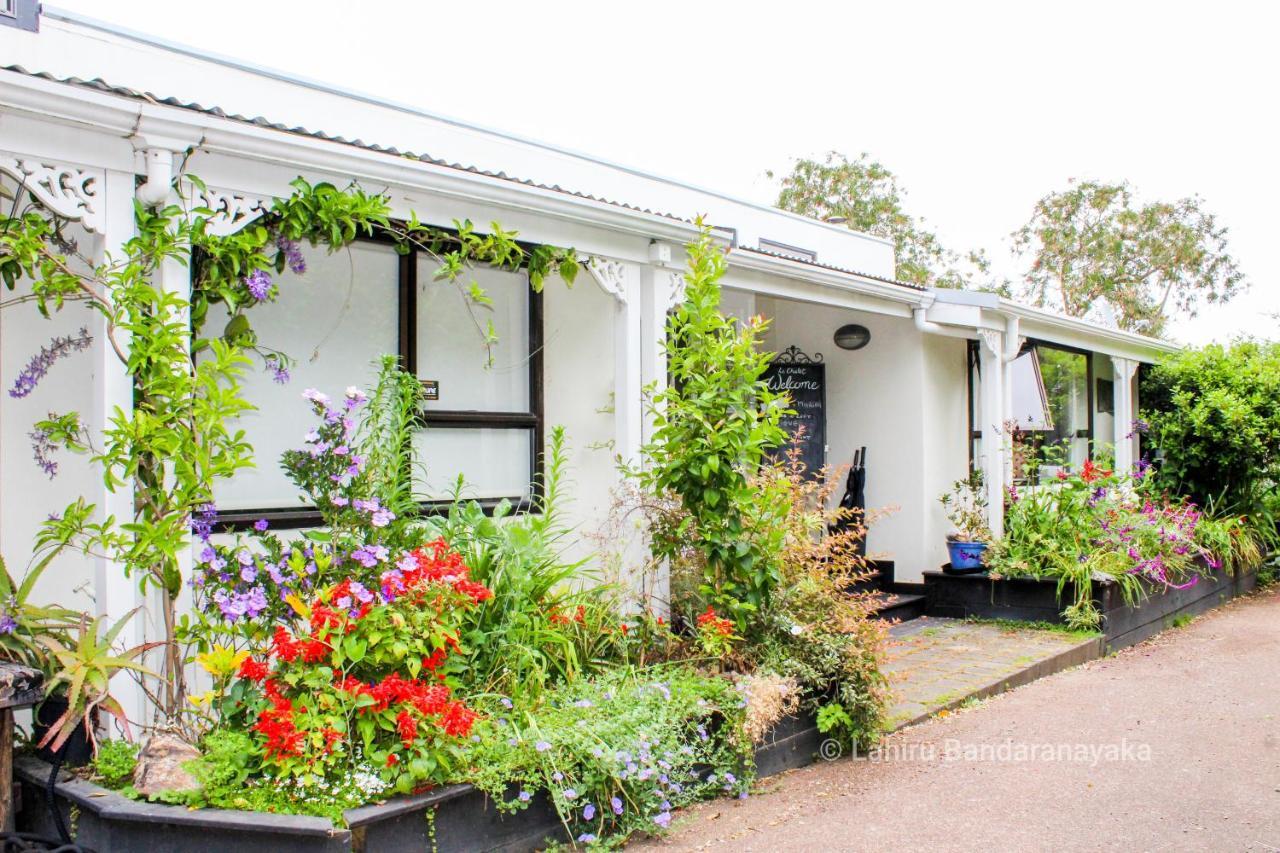 Le Chalet Waiheke Apartments Ostend Exterior foto